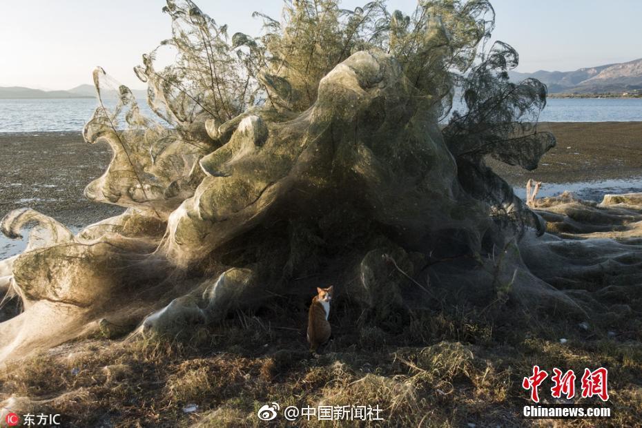 平民价格的高端旅行车，价格七万起步，主流配置统统有！