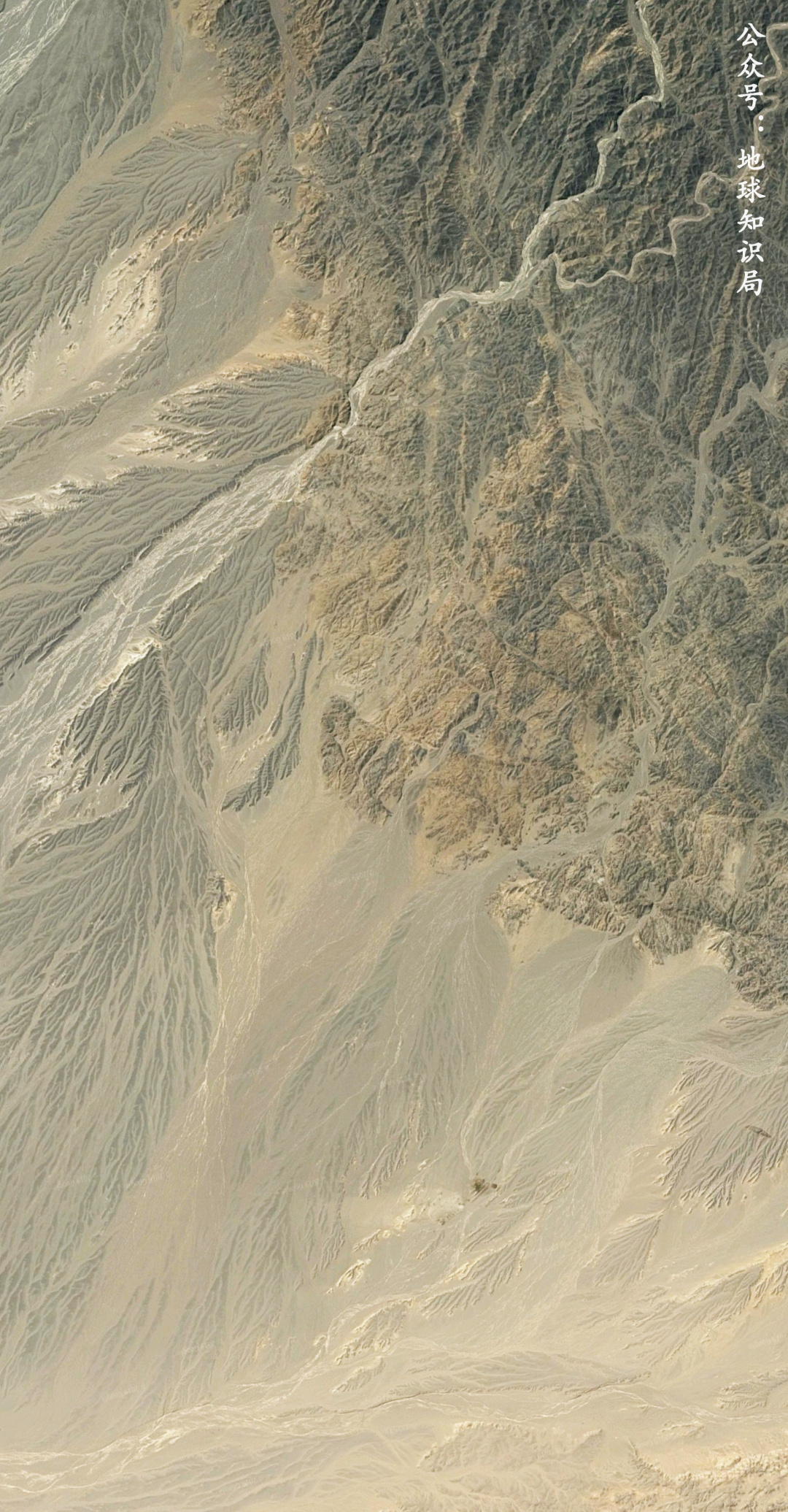 俄人口出生2020_中国出生人口曲线图(3)