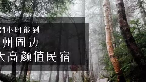 八大高颜值民宿藏身山林田野中！广州开车最快1小时能到！|民宿|增城|干线_新浪新闻