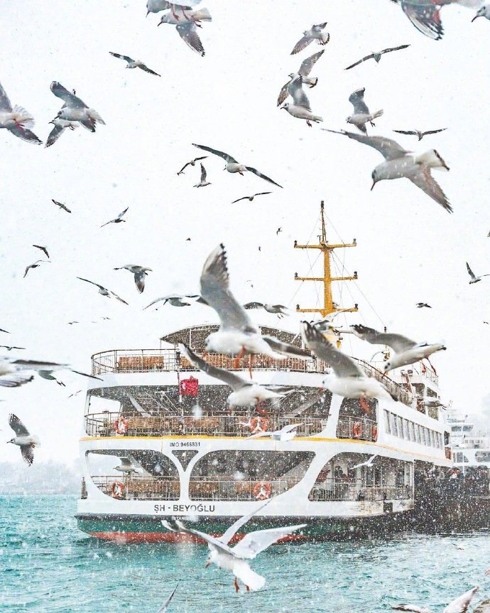 冬季的伊斯坦布爾