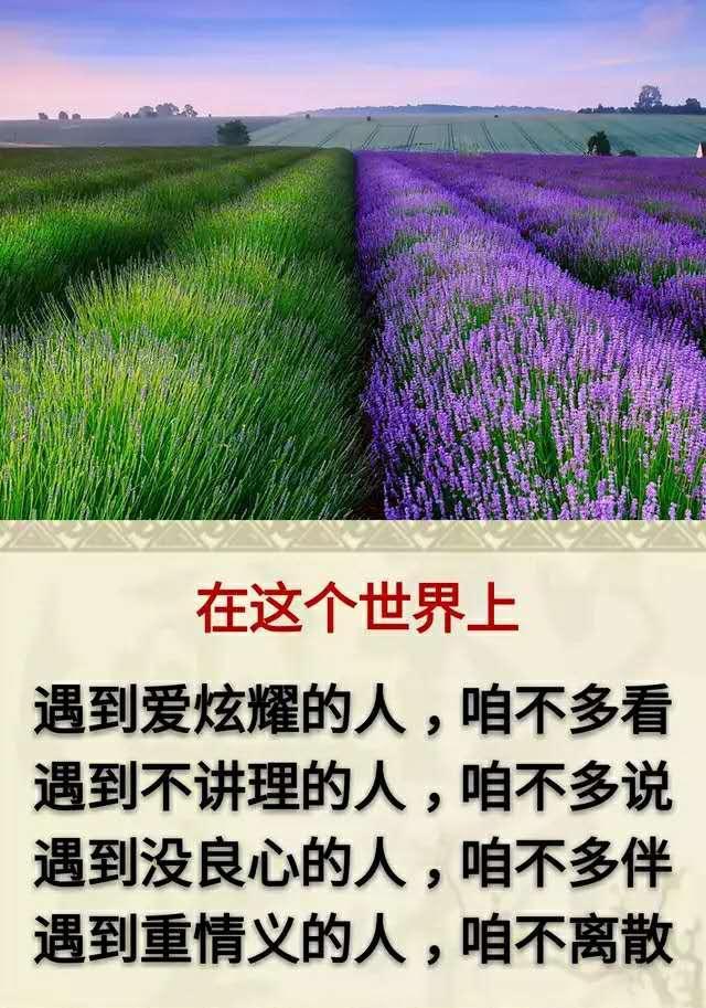 遇到不讲理的人,不多说;遇到没良心的人,不多伴