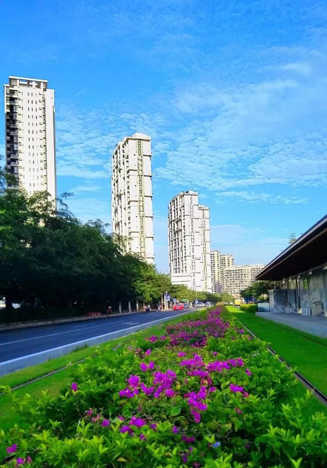 三亚有轨电车示范线可以试乘,你去体验了吗?