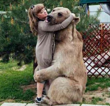 几乎每个俄罗斯人都喜欢养熊,为什么没听说被