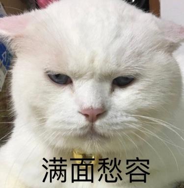 表情包:你也没睡啊,一起猝死吧