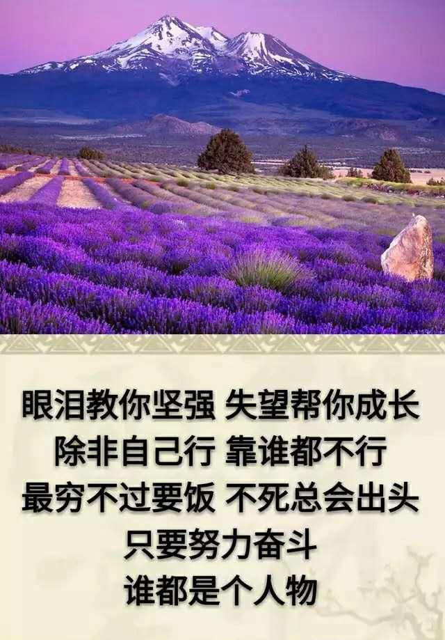 人活着,就要努力奋斗,自己靠自己