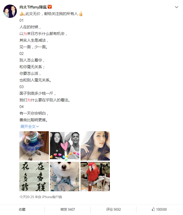 盘点郭碧婷绯闻前男友,外表甜美的她,为何最后选择了向佐? 盘点郭碧婷绯闻前男友,外表甜美的她,为何最后选择了向佐?