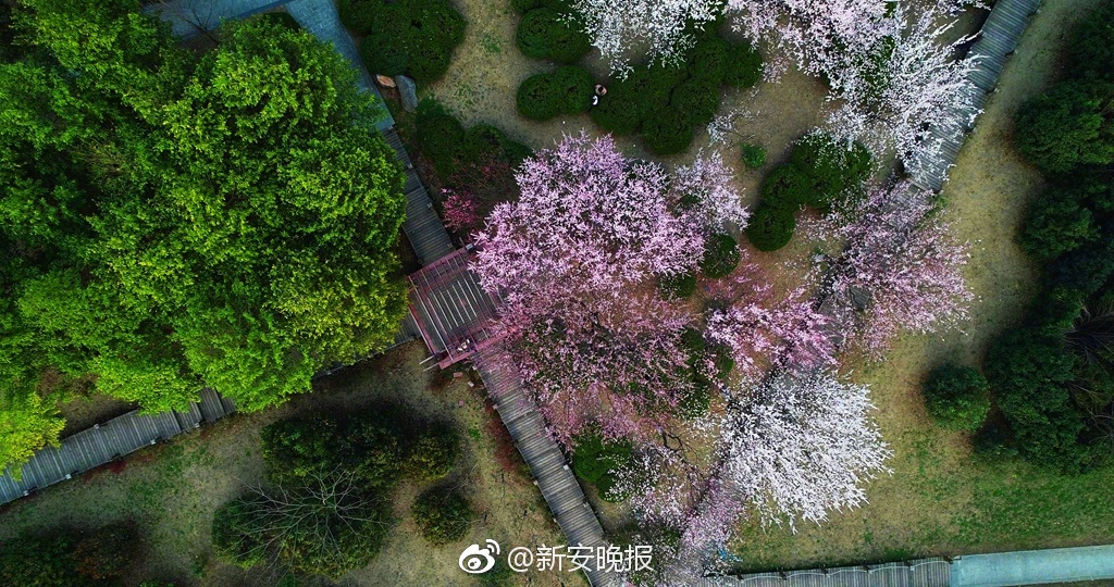 轮椅上的攀登者——钟承湛