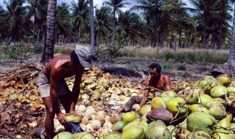 全世界黑帮最多的国家,却不敢跟外国人动手,现