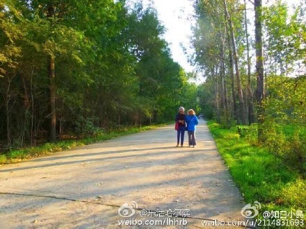 哈尔滨市区内很少人知道的一处森林
