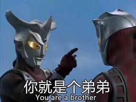 今日热门斗图表情包:圆圆的发际线,充满大大的疑惑