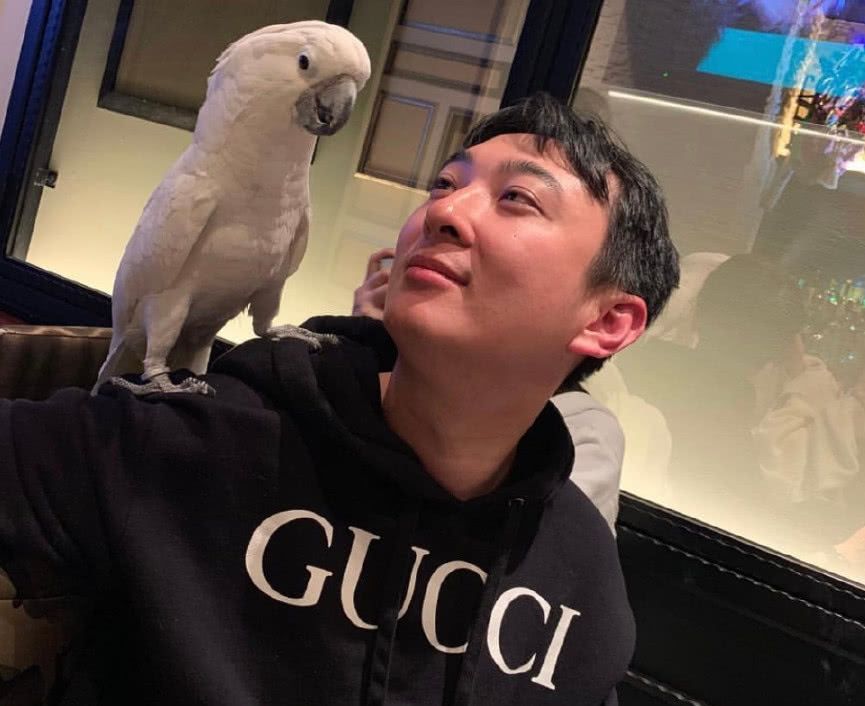 《青你》决赛座位图曝光，王思聪妥妥的C位，网友：来给王喆助阵