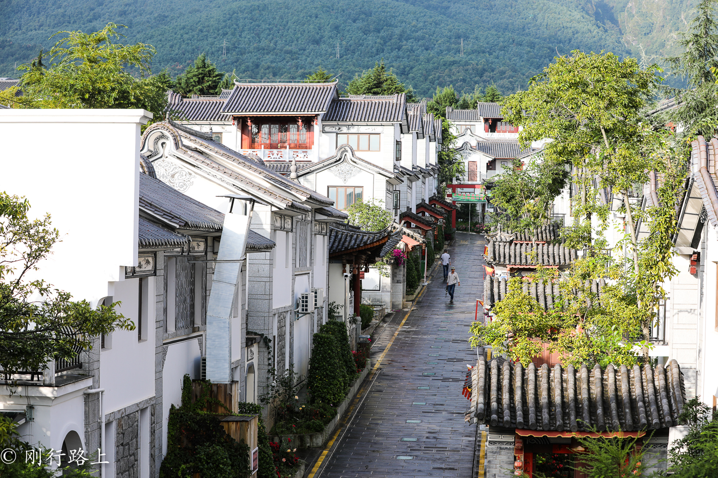 在百花齐放的时候来到大理感通寺,这样才会不负好时光 在百花齐放的时候来到大理感通寺,这样才会不负好时光