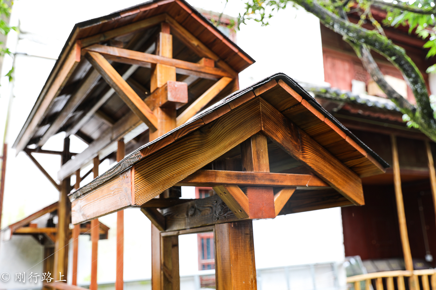 在百花齐放的时候来到大理感通寺,这样才会不负好时光 在百花齐放的时候来到大理感通寺,这样才会不负好时光