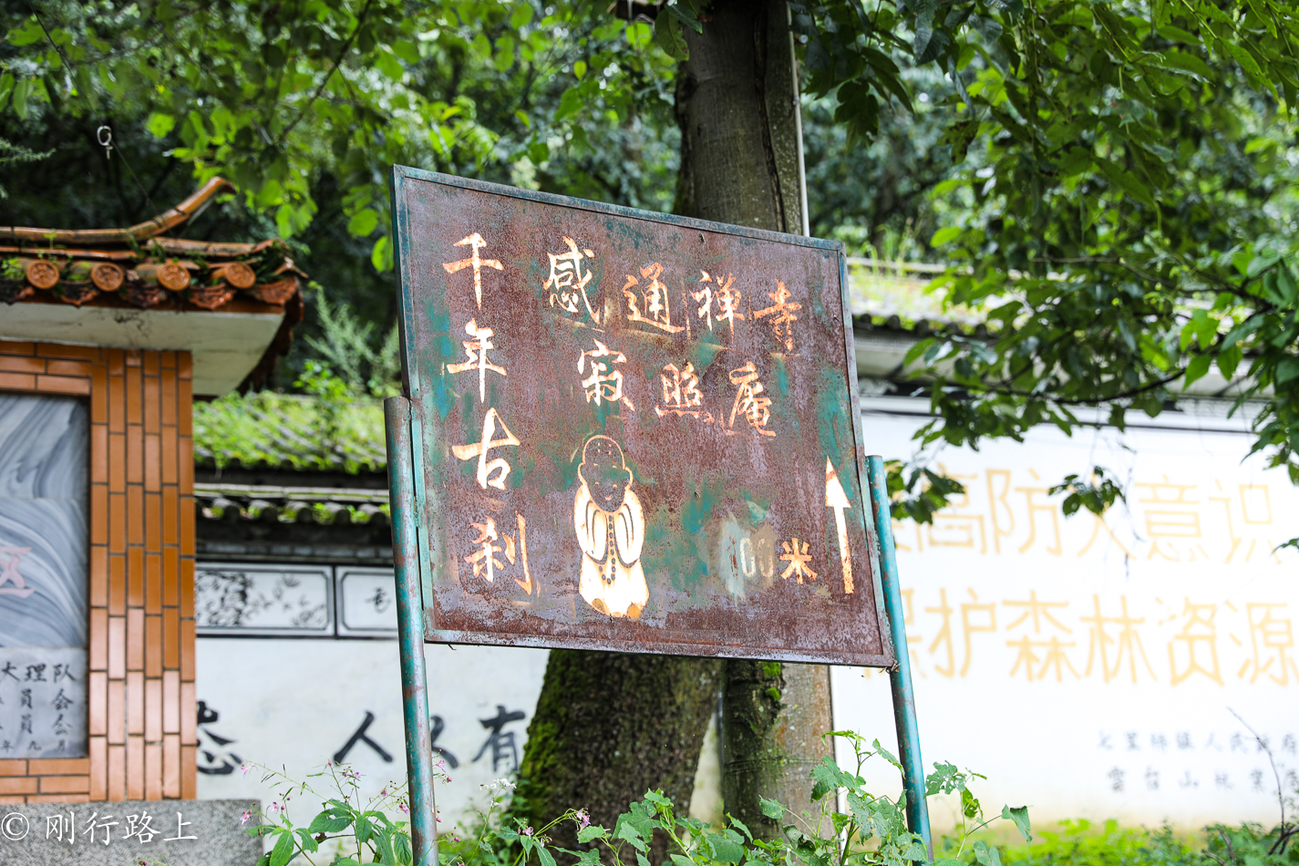在百花齐放的时候来到大理感通寺,这样才会不负好时光 在百花齐放的时候来到大理感通寺,这样才会不负好时光