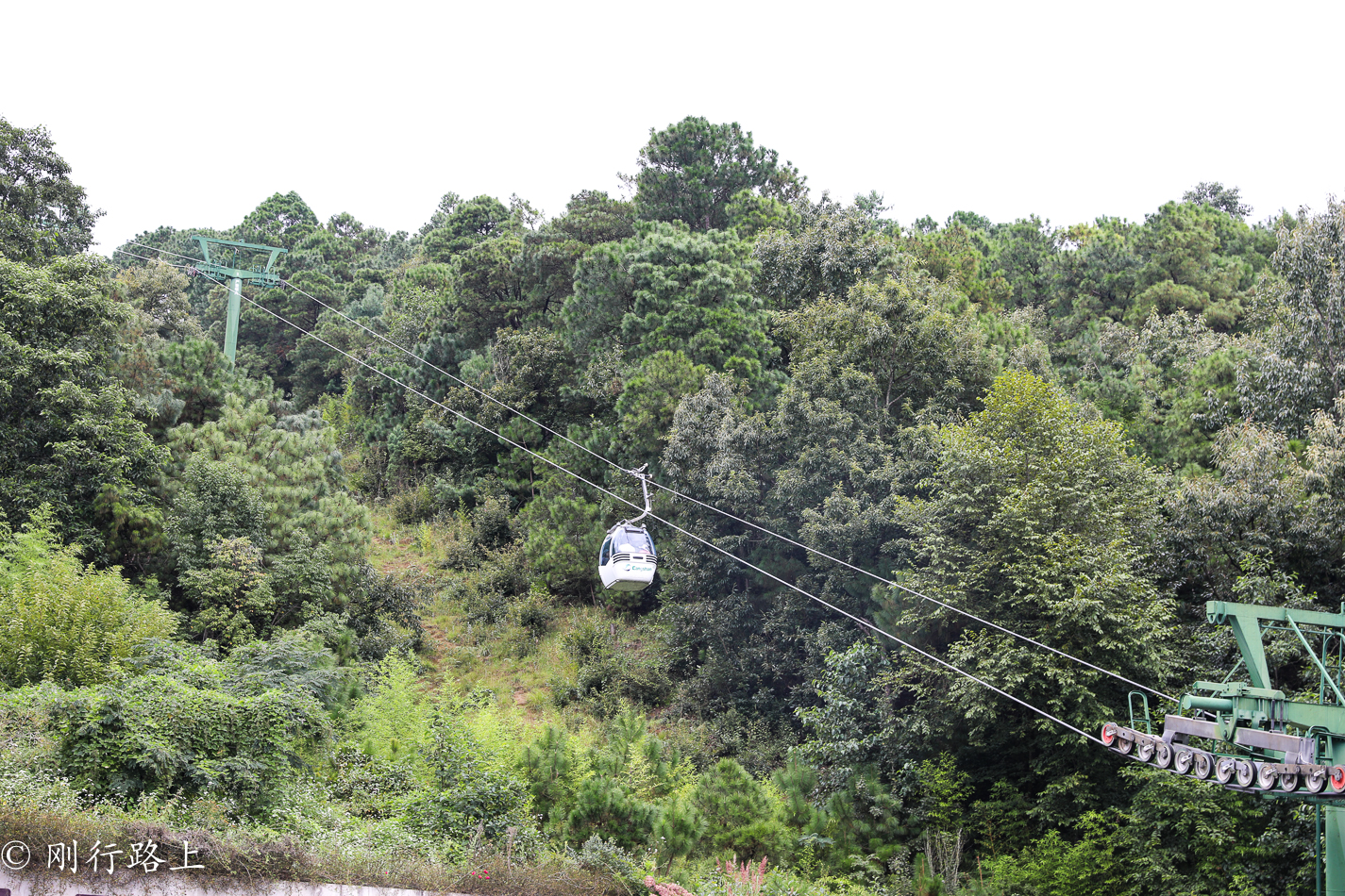 在百花齐放的时候来到大理感通寺，这样才会不负好时光