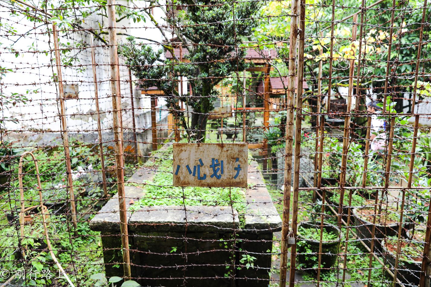 在百花齐放的时候来到大理感通寺,这样才会不负好时光 在百花齐放的时候来到大理感通寺,这样才会不负好时光