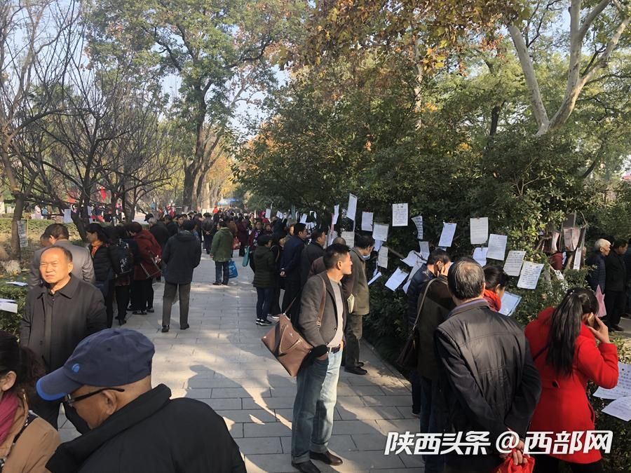 【天寒地冻 西安革命公园相亲角依旧火热无比】
