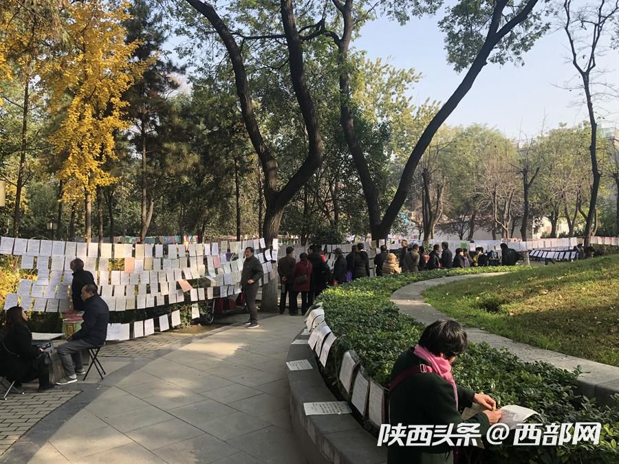 【天寒地冻 西安革命公园相亲角依旧火热无比】