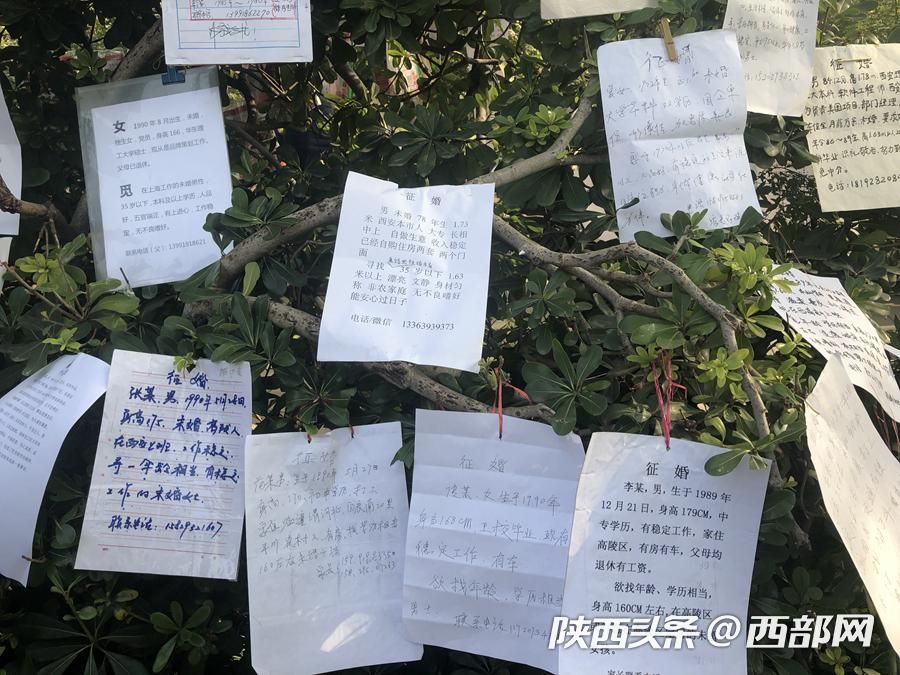 【天寒地冻 西安革命公园相亲角依旧火热无比】