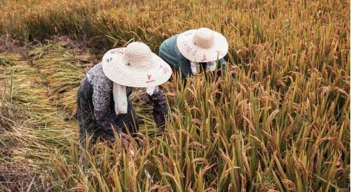 为什么农民辛苦了一辈子,到头来却什么都没有