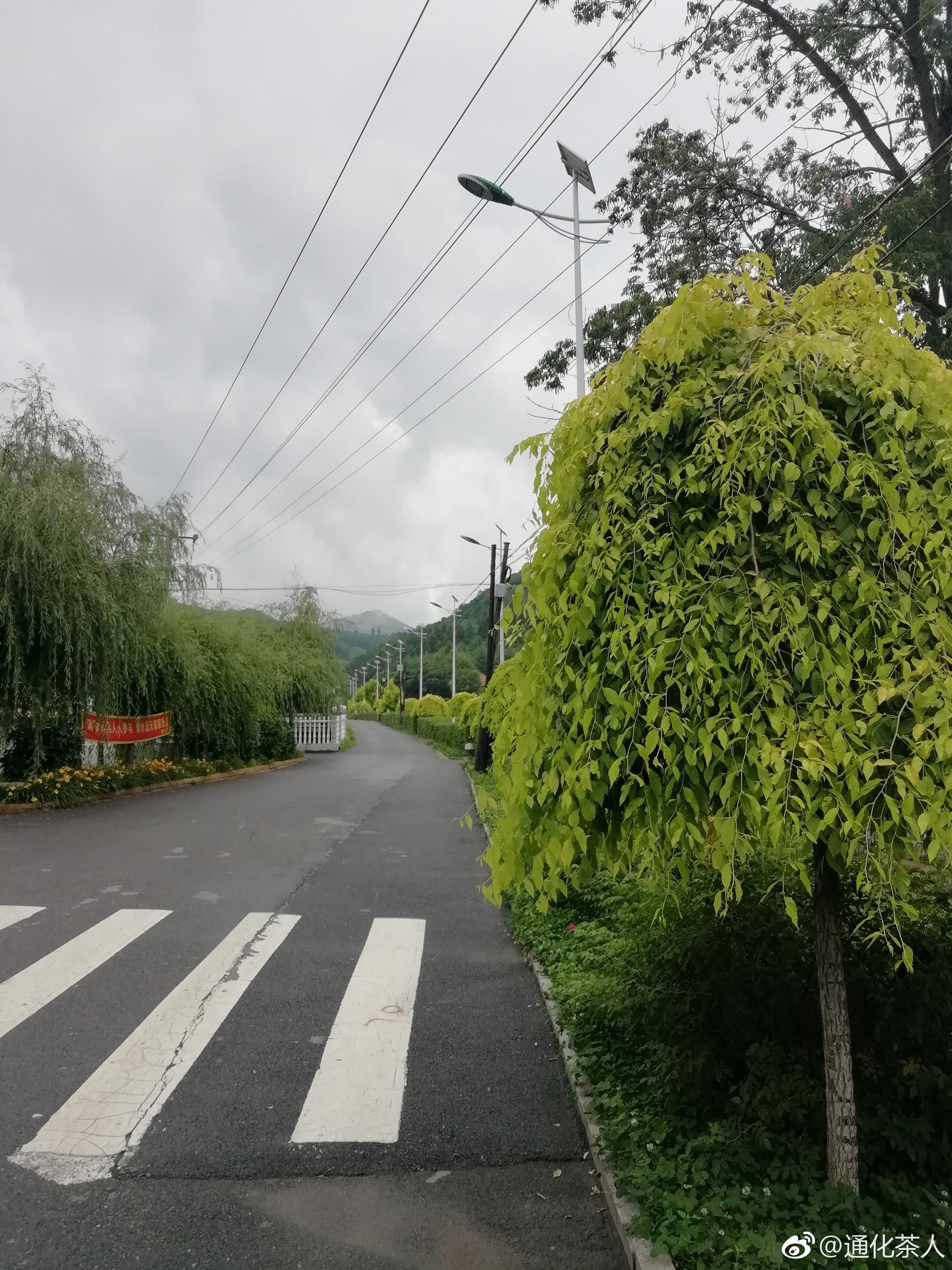 横道村一游，一村一景太漂亮了！仿佛是世外桃源！