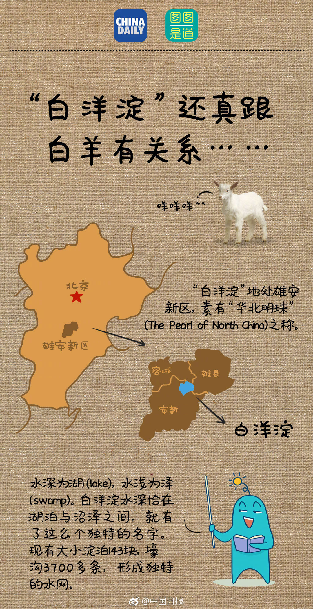 西葫芦汤的做法大全家常
