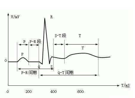 体检报告里面的窦性心律是什么意思?|心律|窦性|心率