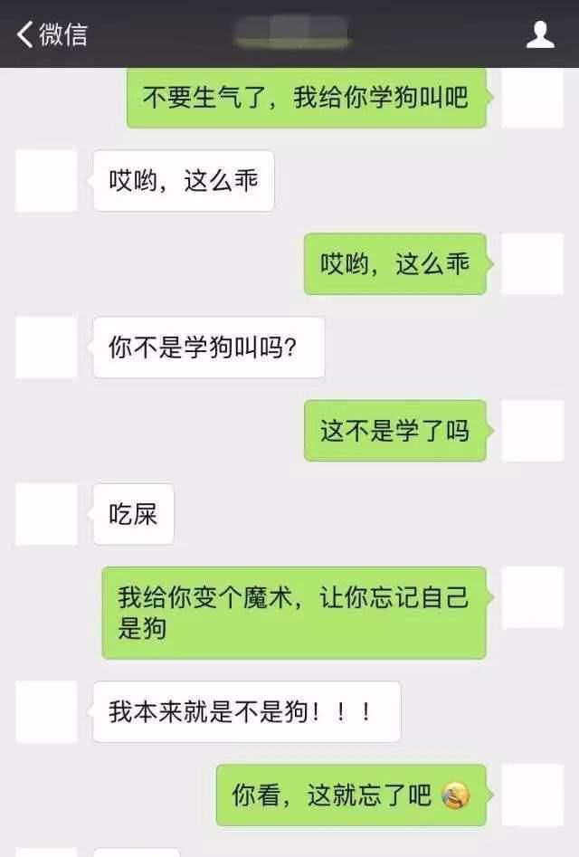 搞笑聊天记录:同学:我们恋爱吧!同桌的表情让人笑喷!