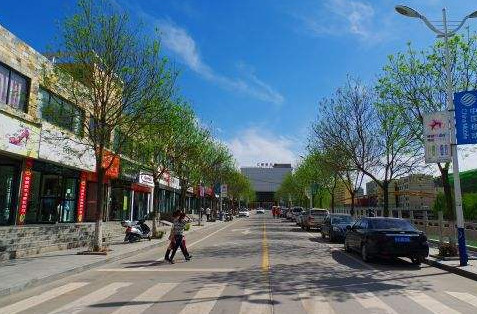 人口素质最高的城市_东北居民素质最高的城市被国家看中了,前途无量(2)