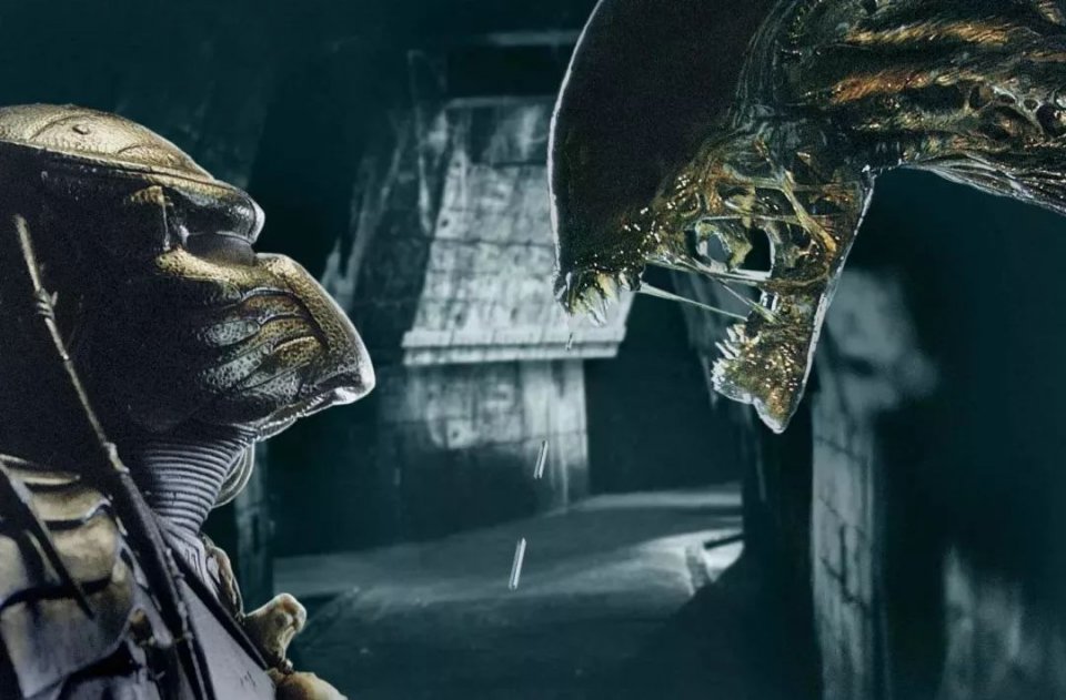 《铁血战士》:外星人打外星人,钢铁侠竟成最