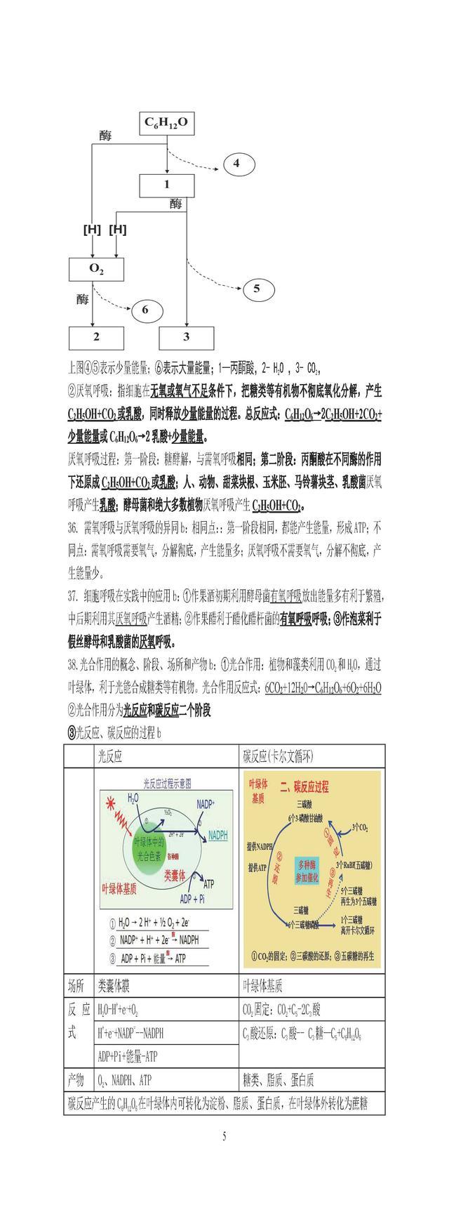 生物必修三有什么原理_深海里有什么生物(3)