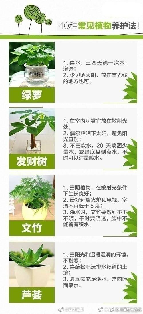 为什么说打赢抗日战争，有酒精的功劳？