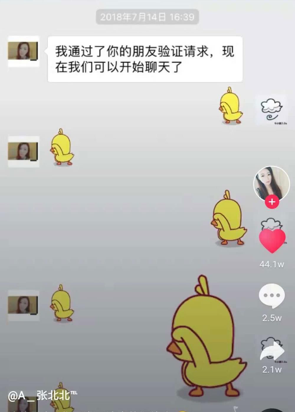 抖音小黄鸭简谱_小黄鸭头像抖音(2)
