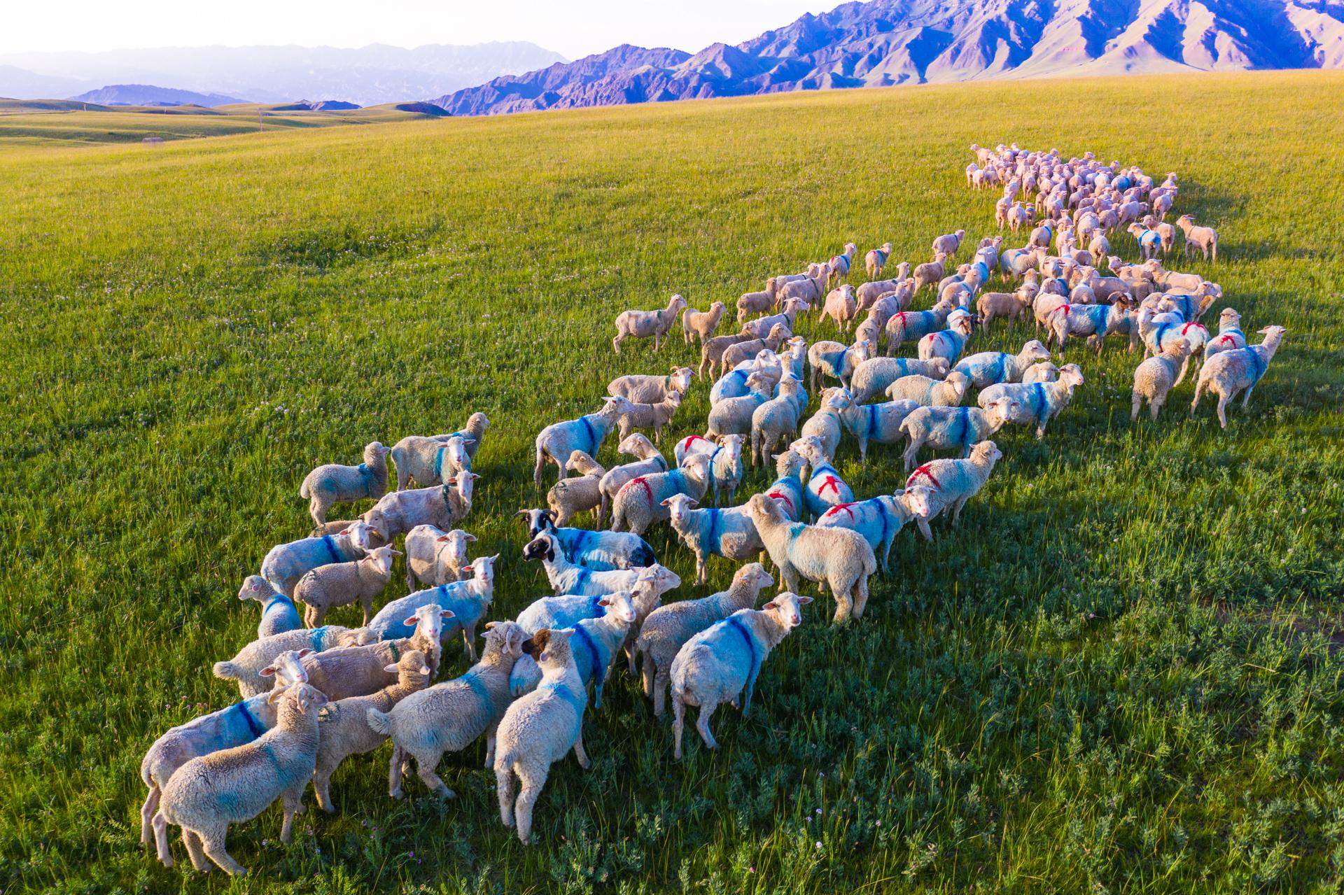 八月再見  九月你好