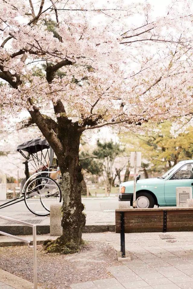 爱旅行女孩的20个缺点和1个优点