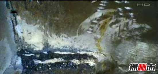 1981年香港狐仙事件是真的吗，香港狐仙杀人真实事件揭秘