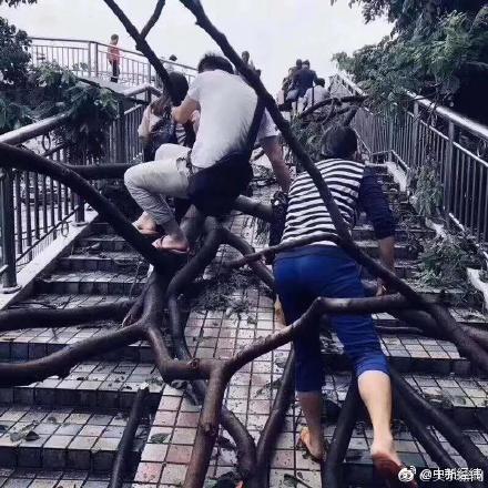 叙事美学的转型与挑战