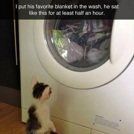 搞笑神段子GIF:enter键出了大号的感觉距离用脸