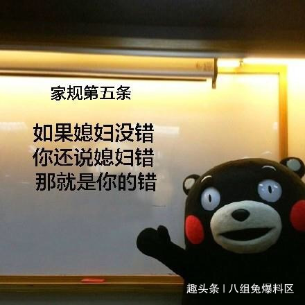 搞笑家规表情包图片 熊本熊家规 家规第一条,老婆永远是对的 家规第