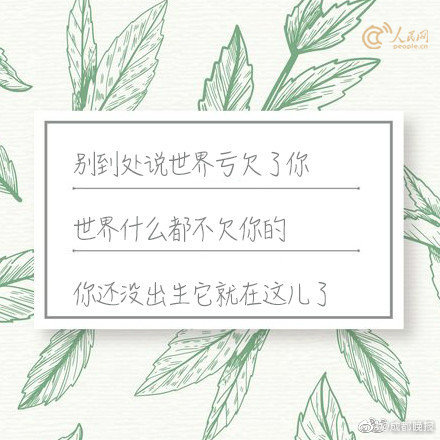 国产影视剧中的亲子关系探讨，真实剧情与在线观看指南