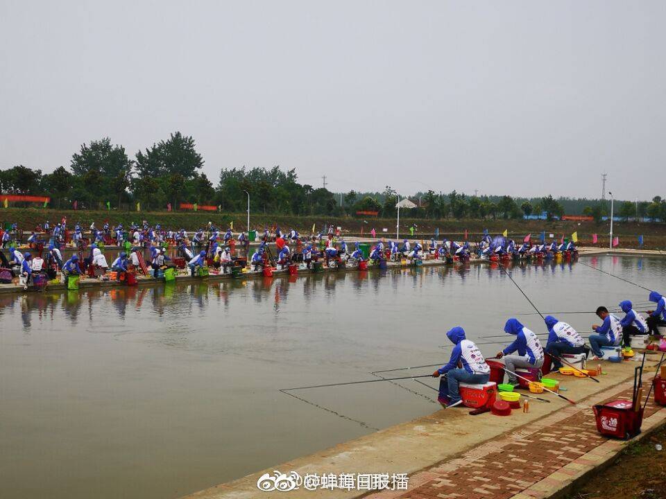 甘美会女王，在线视频与剧情介绍