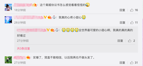 疑贾乃亮李小璐离婚协议曝光,甜馨由女方抚养