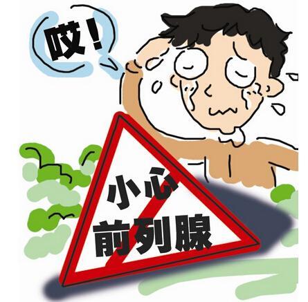慢性前列腺炎并不是阳痿早泄!漫画app下载软件图片