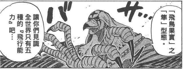 海贼王未解之谜 全世界只有五种的飞行能力 到底是什么