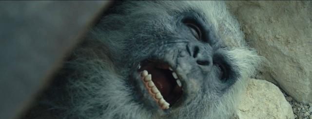 《怒晴湘西》瓶山3大神兽:六翅蜈蚣堪比尸王,千年白猿智商爆棚 《怒晴湘西》瓶山3大神兽:六翅蜈蚣堪比尸王,千年白猿智商爆棚