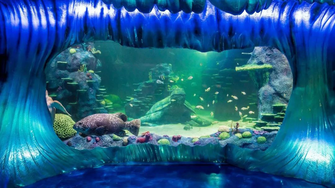 悉尼海洋生物水族馆推出全新会议场地