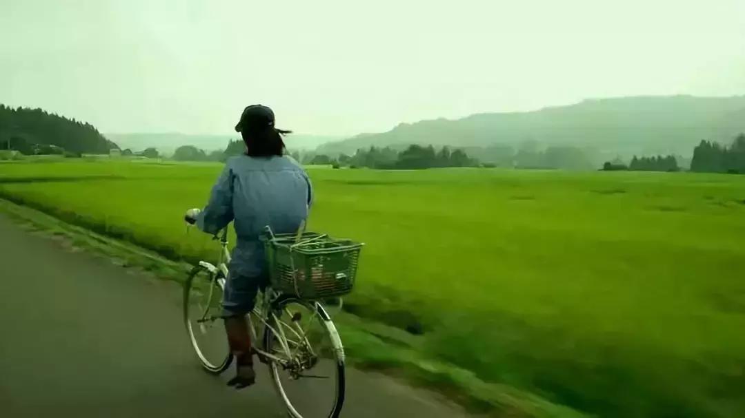 《小森林》论治愈系电影, 还数日本最佳!
