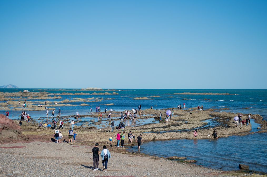 到大连旅游还能这么玩,跟当地人一起赶海,趁潮