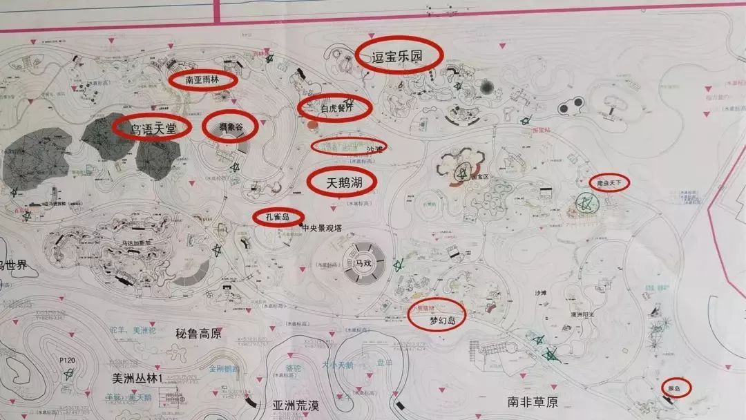 霸气!南通森林野生动物园今年营业!大波规划图