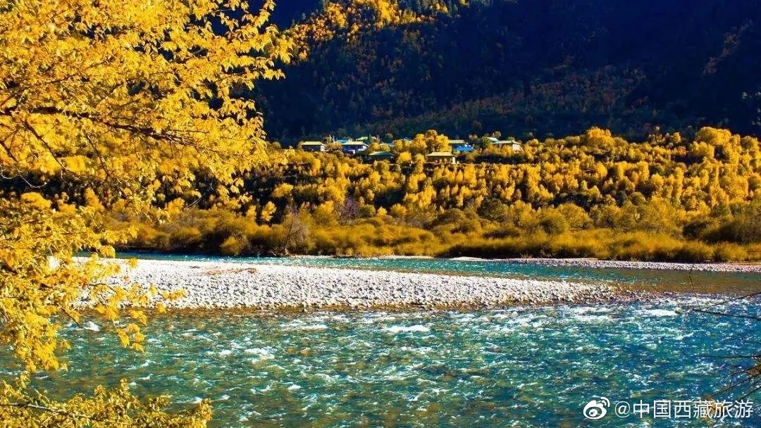 私藏林芝山景秋色